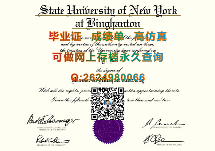 纽约州立大学宾汉顿分校.jpg