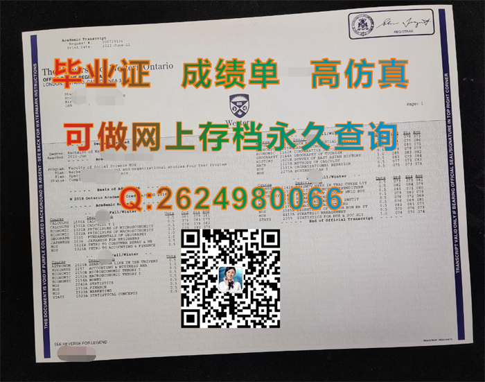 韦仕敦大学.png