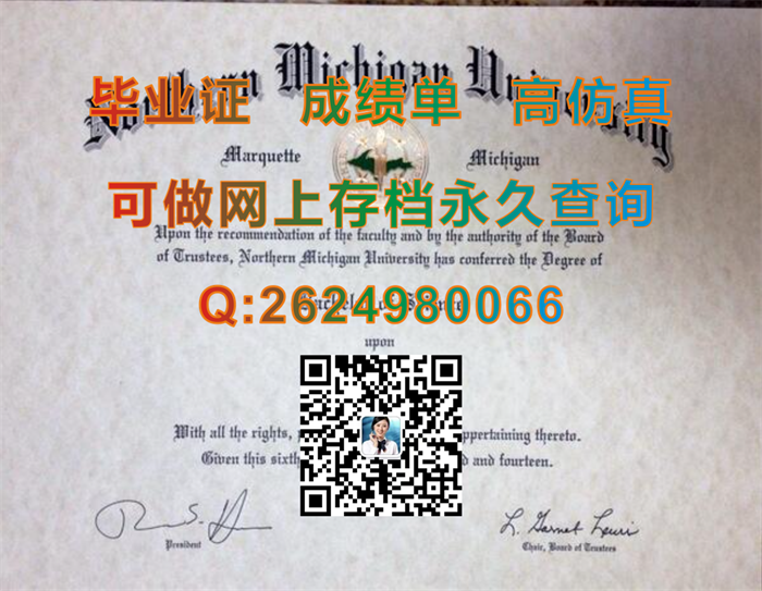 北密歇根大学.png