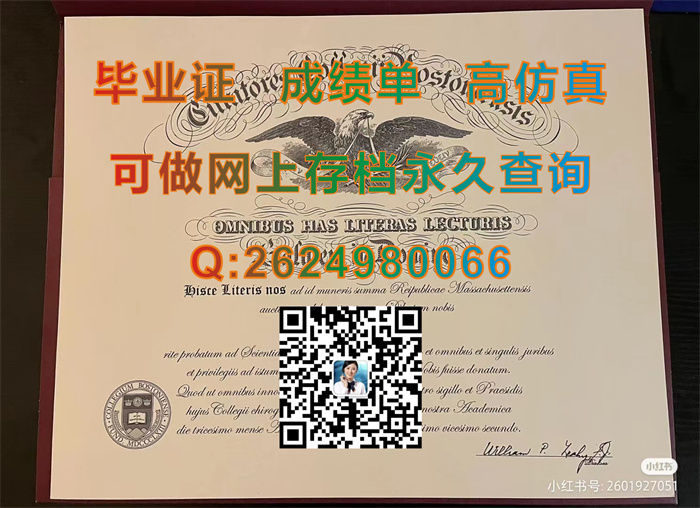 波士顿学院.jpg