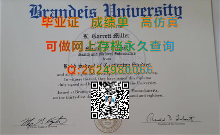 布兰代斯大学.jpg