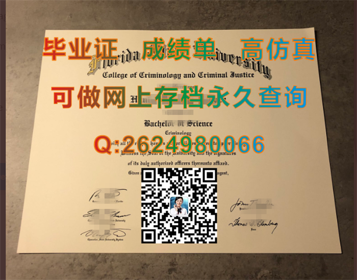 佛罗里达州立大学.png
