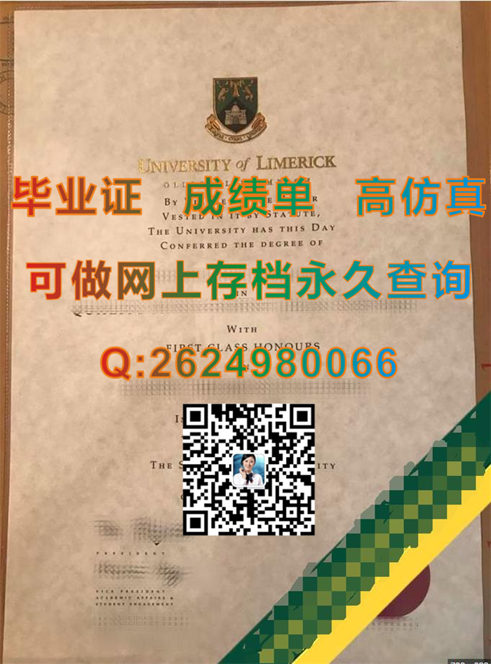 利默里克大学.jpg