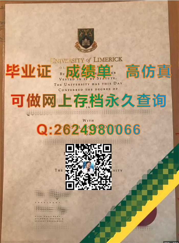 利默里克大学.jpg