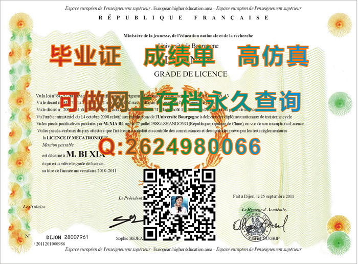 法国第戎大学.jpg
