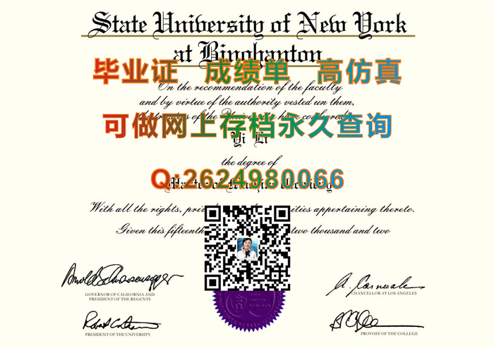 纽约州立大学宾汉顿分校.jpg
