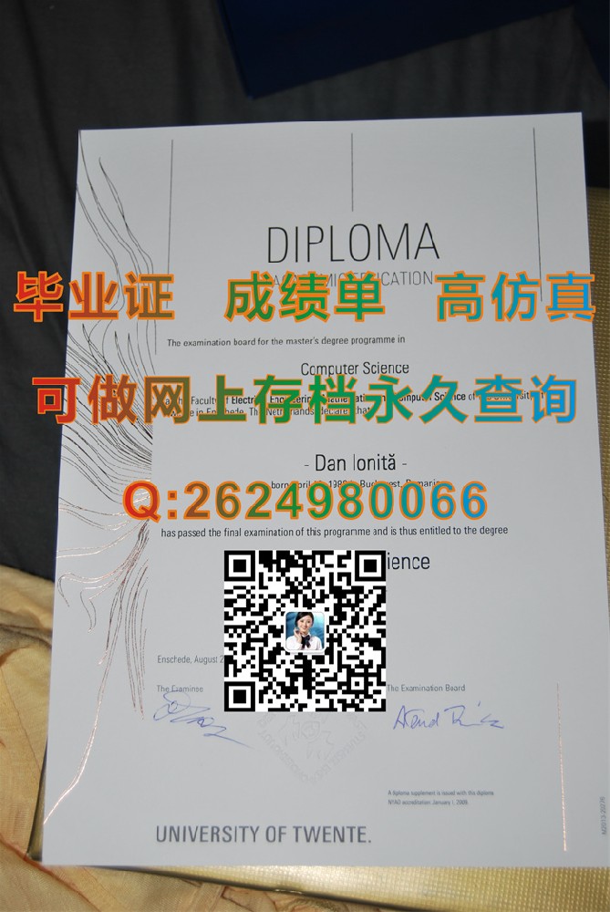 荷兰屯特大学999.jpg