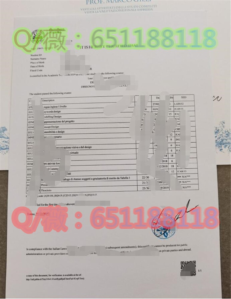 都灵理工大学.jpg