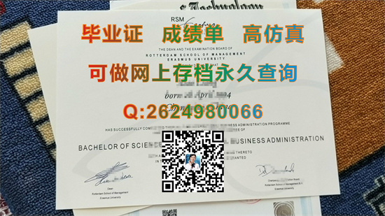 伊拉斯姆斯大学鹿特丹管理学院.jpg