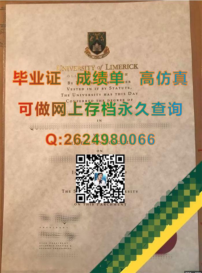 利默里克大学.jpg