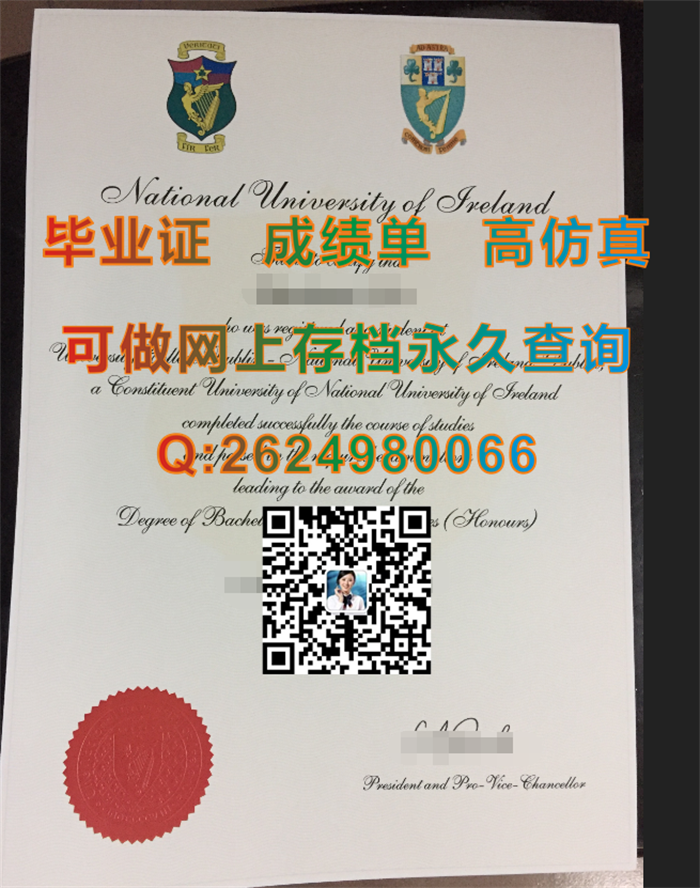都柏林大学学院毕业证.png