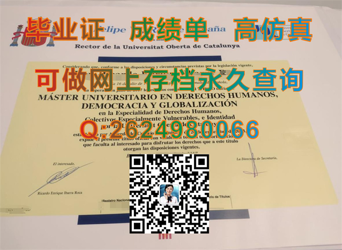 加泰罗尼亚开放大学.jpg