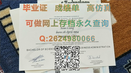 伊拉斯姆斯大学鹿特丹管理学院.jpg
