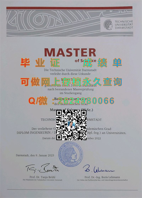 达姆施塔特工业大学.jpg