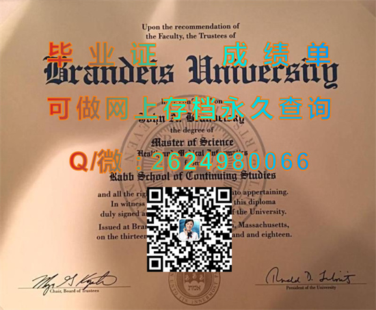 布兰代斯大学.jpg