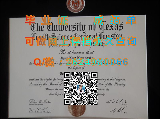 德克萨斯大学休斯顿健康科学中心(休斯顿)University of Texas Health Science Center at Houston (Houston) (2).jpg