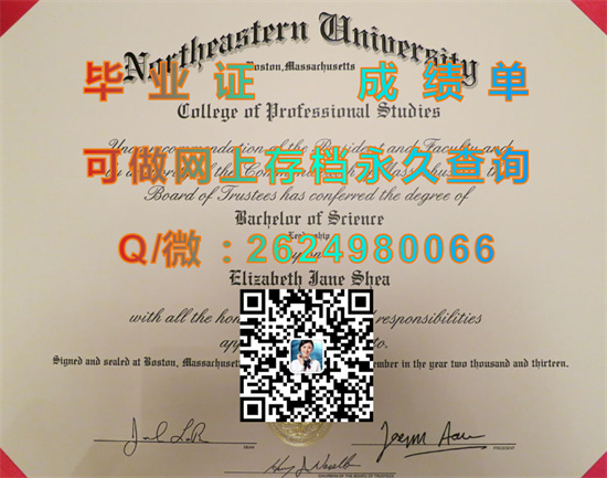 东北大学.jpg