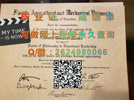 佛罗里达农工大学(塔拉哈西)Florida Agricultural and Mechanical University (Tallahassee).jpg