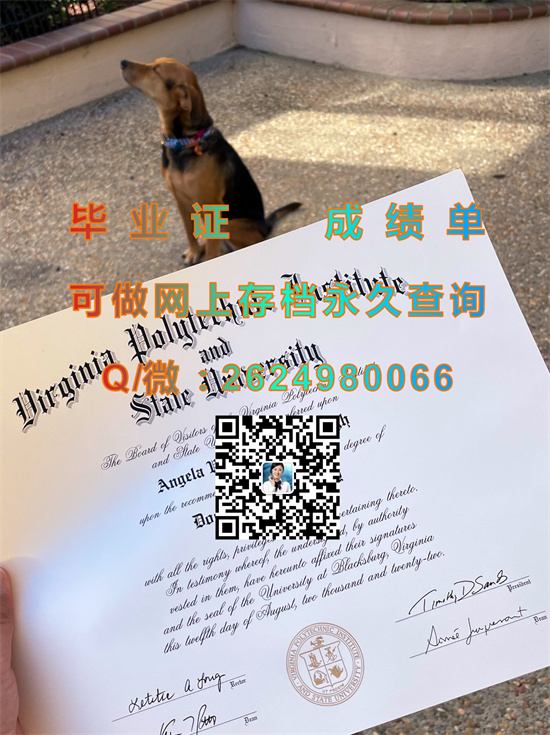 弗吉尼亚理工学院.jpg