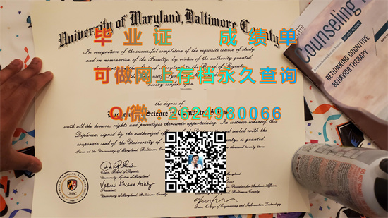 马里兰大学巴尔的摩分校.jpg