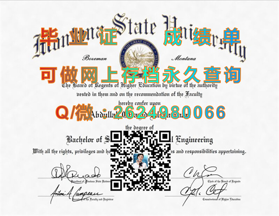 蒙大拿州立大学.jpg