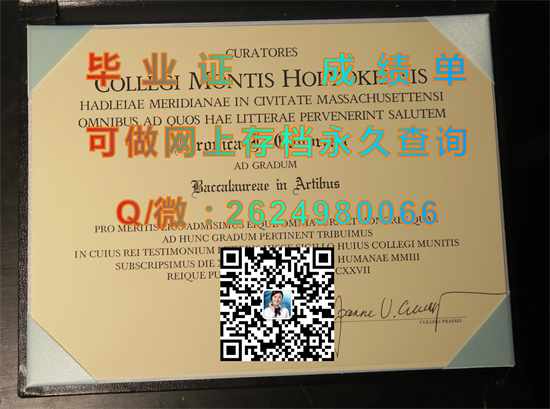 蒙特霍利约克学院.jpg