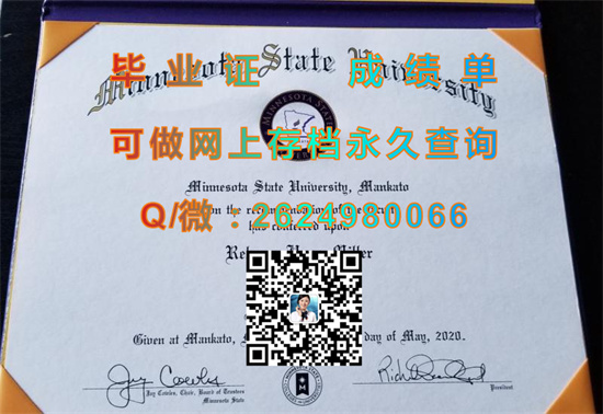 明尼苏达州立大学曼卡托分校(曼卡托)Minnesota State University, Mankato (Mankato).jpg