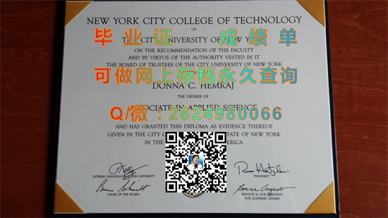 纽约城市大学城市学院.jpg