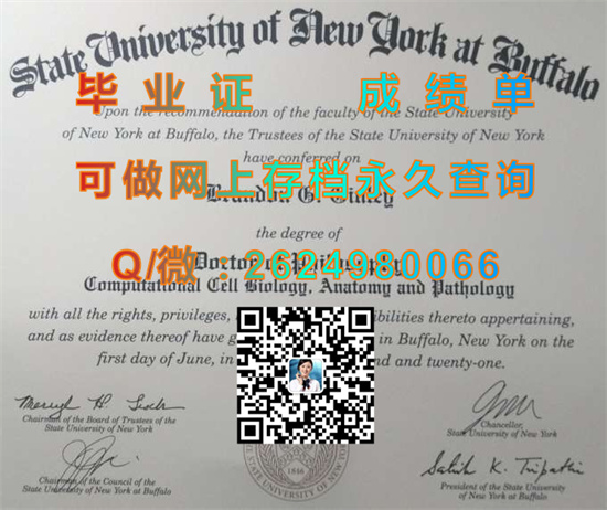 纽约州立大学.jpg