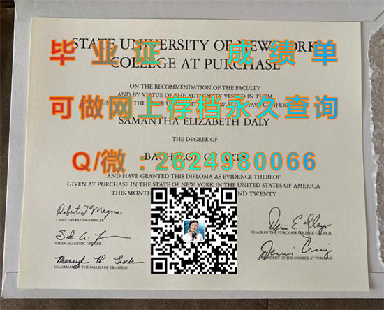 纽约州立大学帕切斯学院Purchase College, State University of New York.jpg