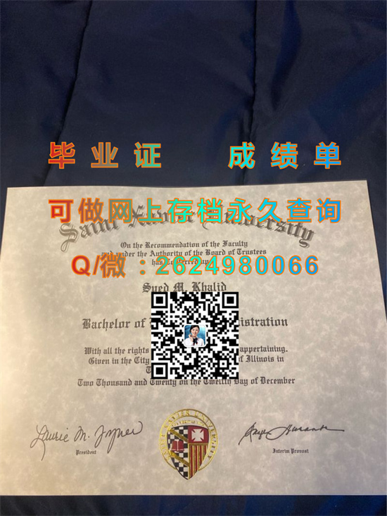 圣泽维尔大学(芝加哥)Saint Xavier University (Chicago).jpg