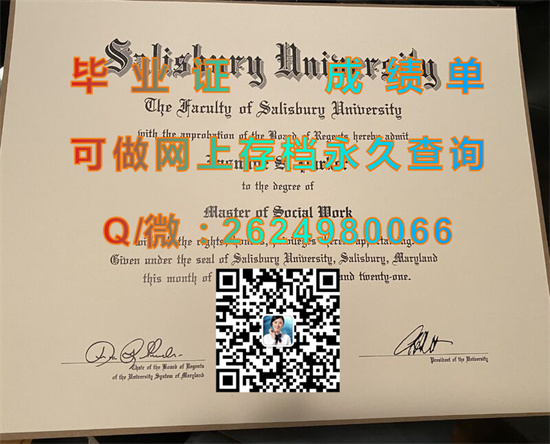索尔兹伯里大学(索尔兹伯里)Salisbury University (Salisbury).jpg