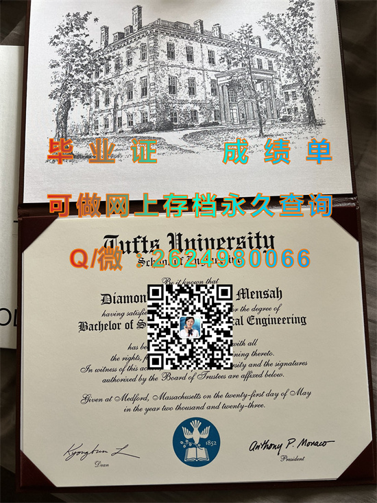 塔夫茨大学.jpg