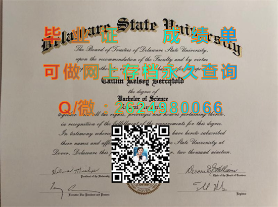 特拉华州立大学（多佛）Delaware State University (Dover).jpg