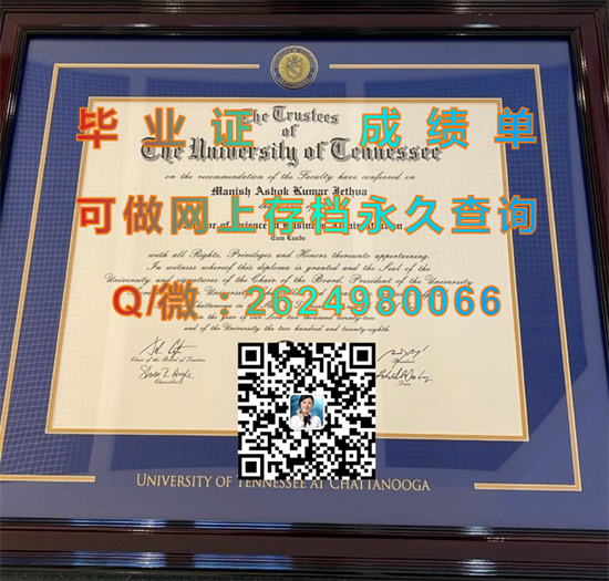田纳西大学查塔努加分校.jpg