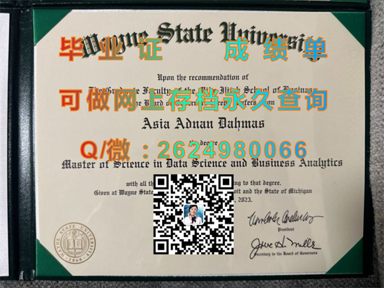 韦恩州立大学.jpg