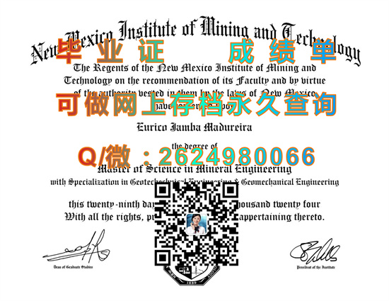 新墨西哥矿业技术学院(索克罗)New Mexico Institute of Mining and Technology (Socorro).jpg