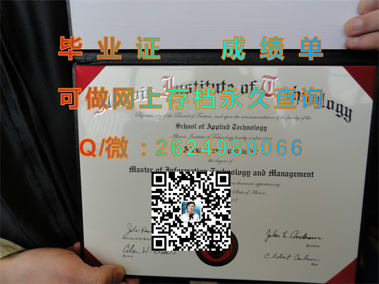 伊利诺斯理工学院.jpg