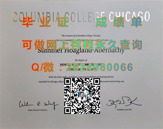 芝加哥哥伦比亚学院(芝加哥)Columbia College Chicago (Chicago).jpg