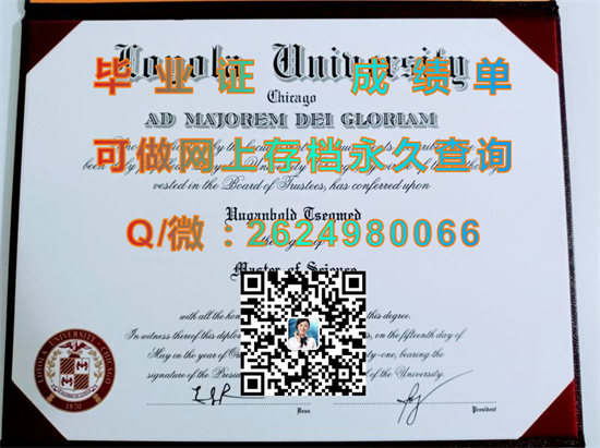 芝加哥洛约拉大学.jpg