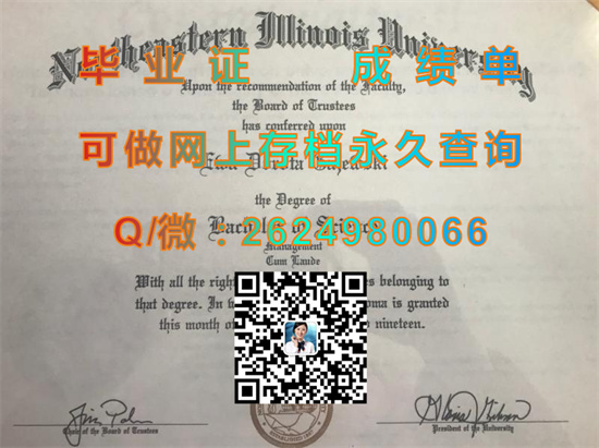 东北伊利诺斯大学（芝加哥）Northeastern Illinois University (Chicago).jpg