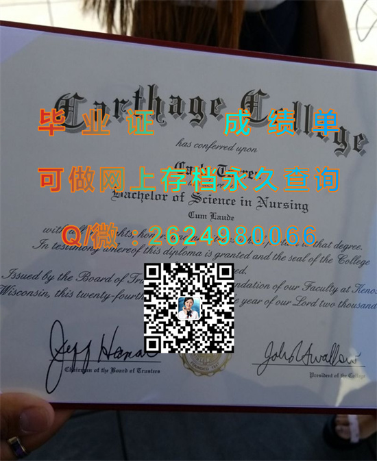 迦太基学院(基诺沙)Carthage College (Kenosha).jpg