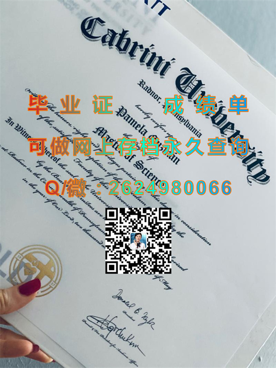 卡布里尼学院(拉德诺)Cabrini College (Radnor).jpg