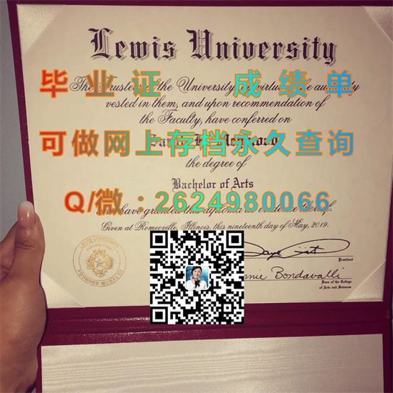 刘易斯大学(罗密欧维尔)Lewis University (Romeoville).jpg