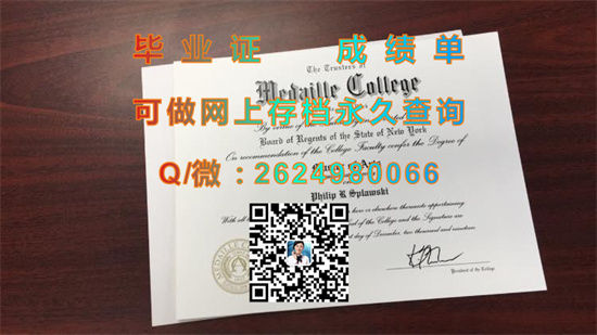 麦代尔学院(布法罗)Medaille College (Buffalo).jpg