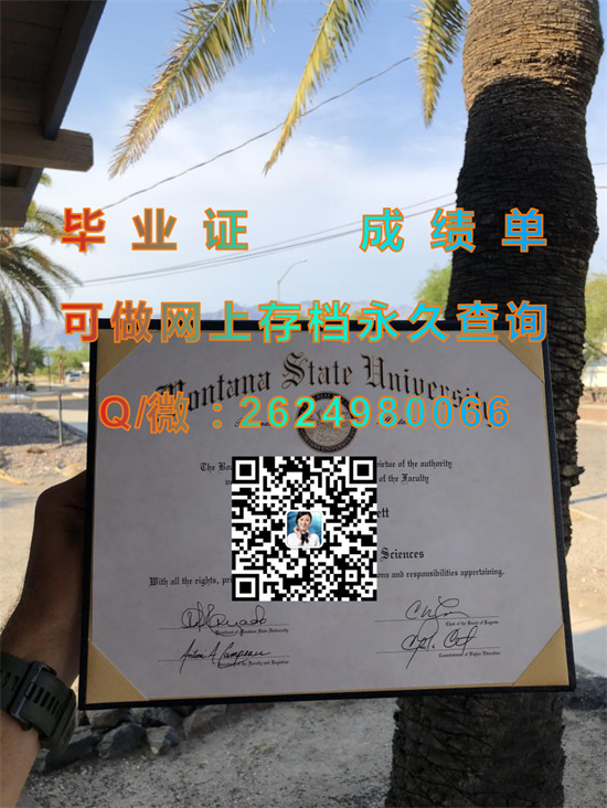 蒙大拿州立大学北分校(哈弗尔)Montana State University - Northern (Havre).jpg