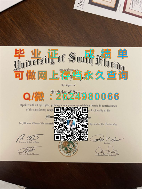 南佛罗里达大学(坦帕)University of South Florida (Tampa).jpg