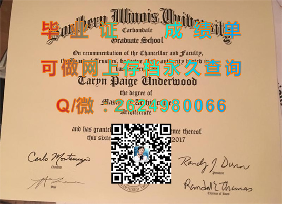 南伊利诺斯大学卡本代尔分校(卡本代尔)Southern Illinois University-Carbondale (Carbondale).jpg
