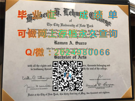纽约城市大学赫伯特莱曼学院(布朗克斯)CUNY - Herbert H. Lehman College (Bronx).jpg