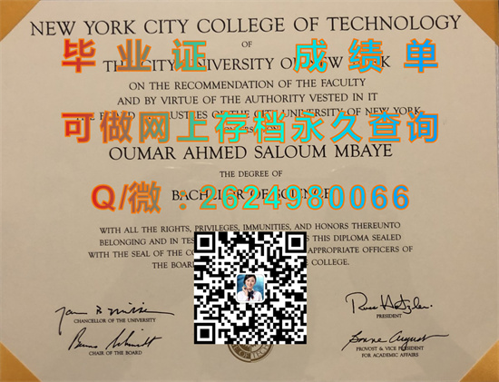 纽约城市大学纽约城市技术学院(布鲁克林)CUNY - New York City College of Technology (Brooklyn).jpg